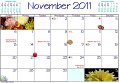 23 Nov Dates